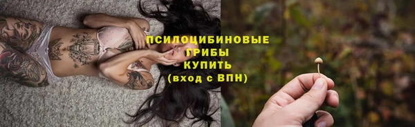 метадон Аркадак