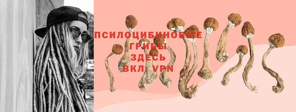 метадон Аркадак