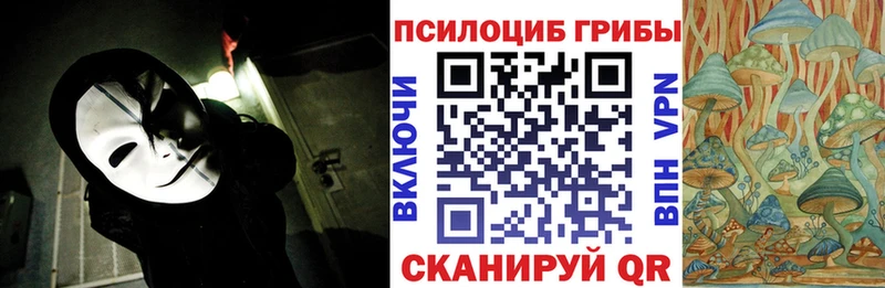 цены   Власиха  Псилоцибиновые грибы MAGIC MUSHROOMS 